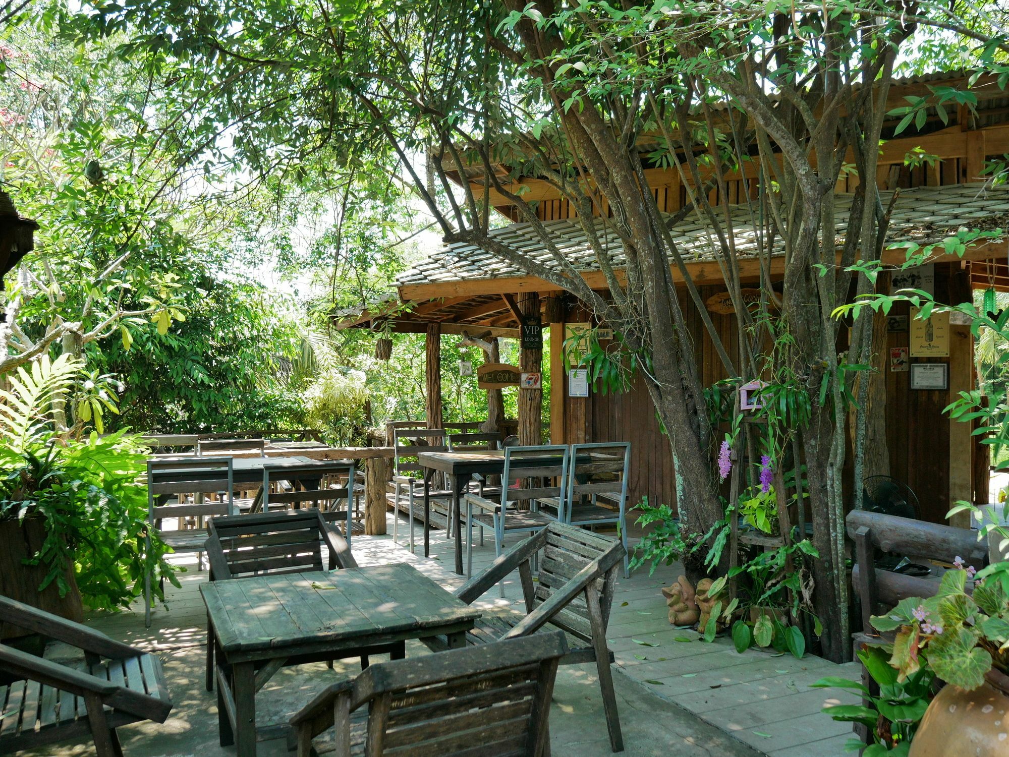 Mama Tree Hotel Районг Екстериор снимка